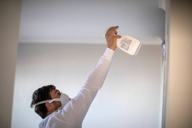 Best Basement Mold Remediation in Bainbridge, GA